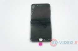Дисплей iPhone 7 в сборе (черный)
