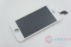 Дисплей iPhone 5S в сборе (белый)