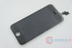 Дисплей iPhone 5S в сборе (черный)